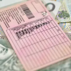 Prawo jazdy bez egzaminu? Na różowym dokumencie widnieją kategorie pojazdów i polskie banknoty.