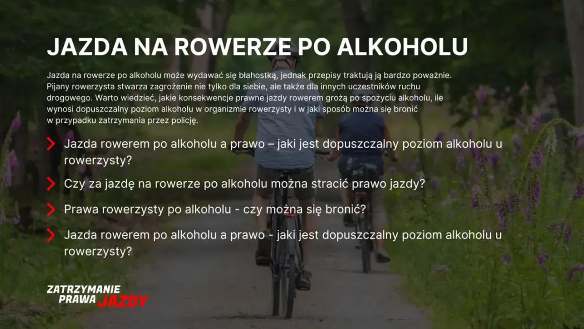 Dwóch starszych panów jedzie na rowerach po ścieżce w lesie. Temat: jazda rowerem po alkoholu.