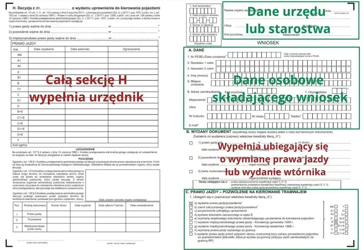 Gdzie jest data wydania prawa jazdy? Sprawdź pole 4a
