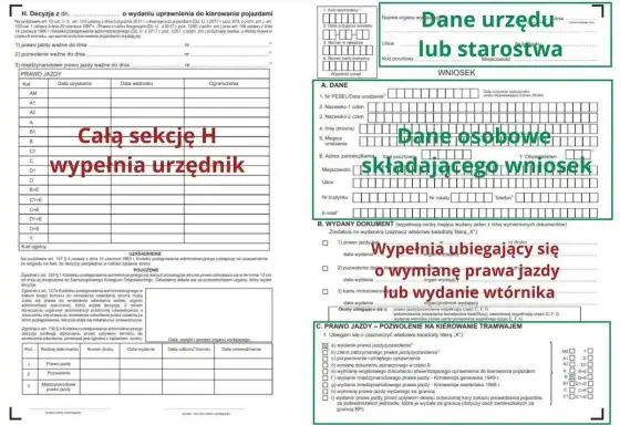 Gdzie jest data wydania prawa jazdy? Sprawdź pole 4a
