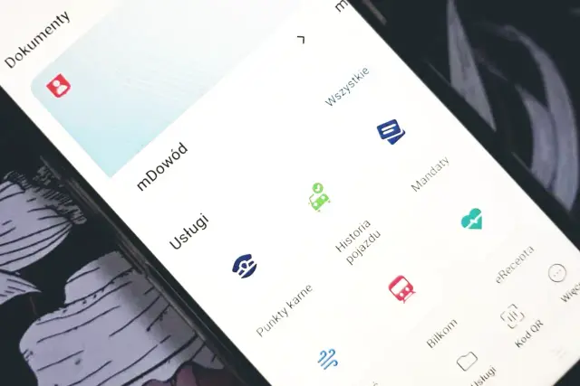 Jak sprawdzić mandaty w Polsce? e-Urząd, mObywatel i CANARD